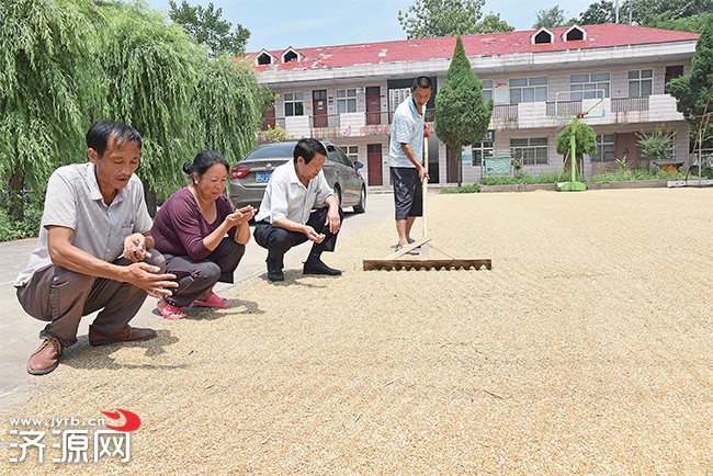 濟(jì)源網(wǎng)