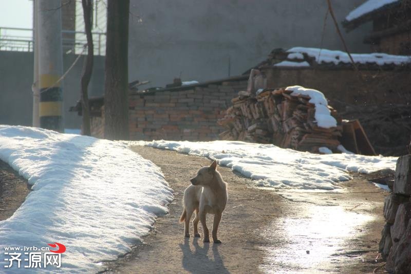 濟(jì)源網(wǎng)