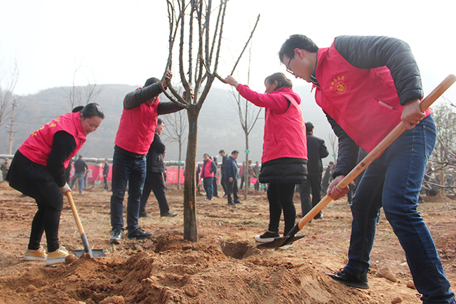 濟(jì)源網(wǎng)