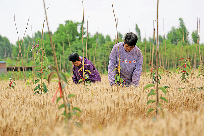 濟(jì)源網(wǎng)