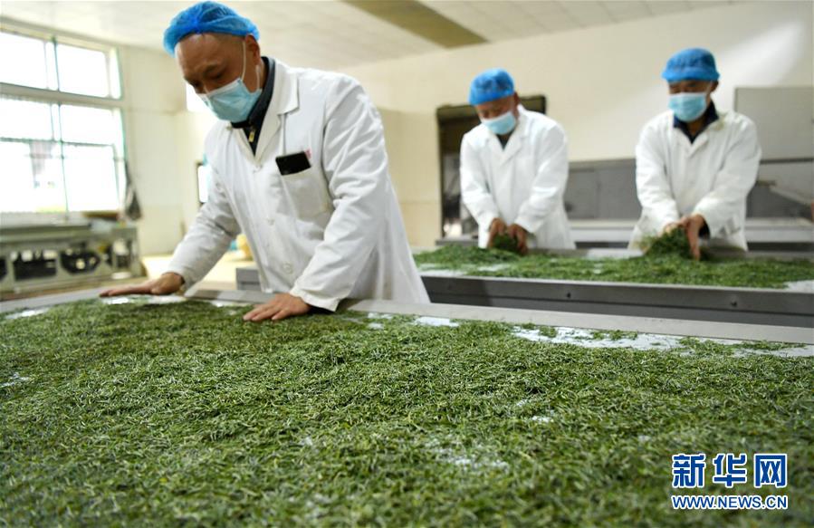 （新華全媒頭條·圖文互動(dòng)）（22）從人民中汲取磅礴力量——習(xí)近平總書(shū)記同出席2020年全國(guó)兩會(huì)人大代表、政協(xié)委員共商國(guó)是紀(jì)實(shí)