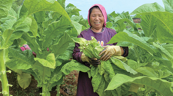 濟(jì)源網(wǎng)