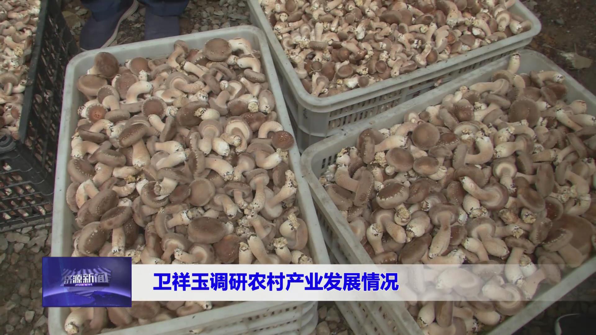 濟(jì)源網(wǎng)