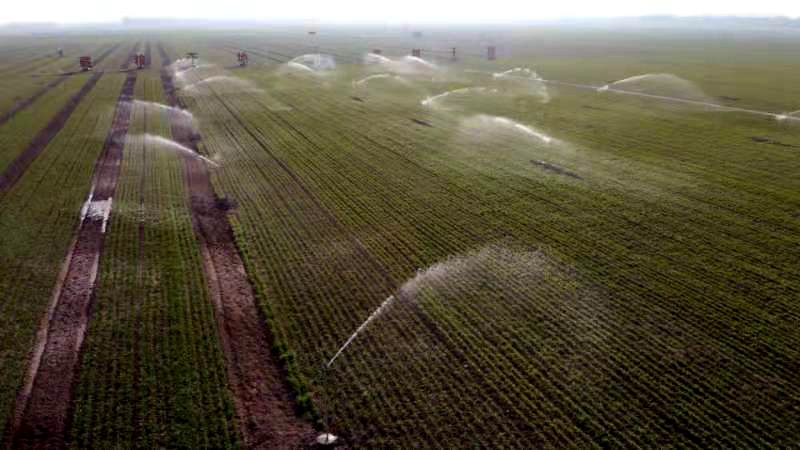 開封張市，農(nóng)民給田地澆水灌溉。李新義攝