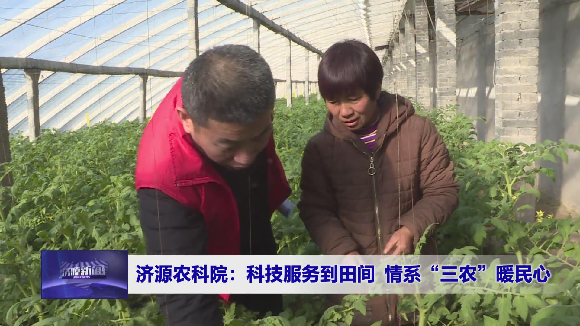 濟(jì)源網(wǎng)