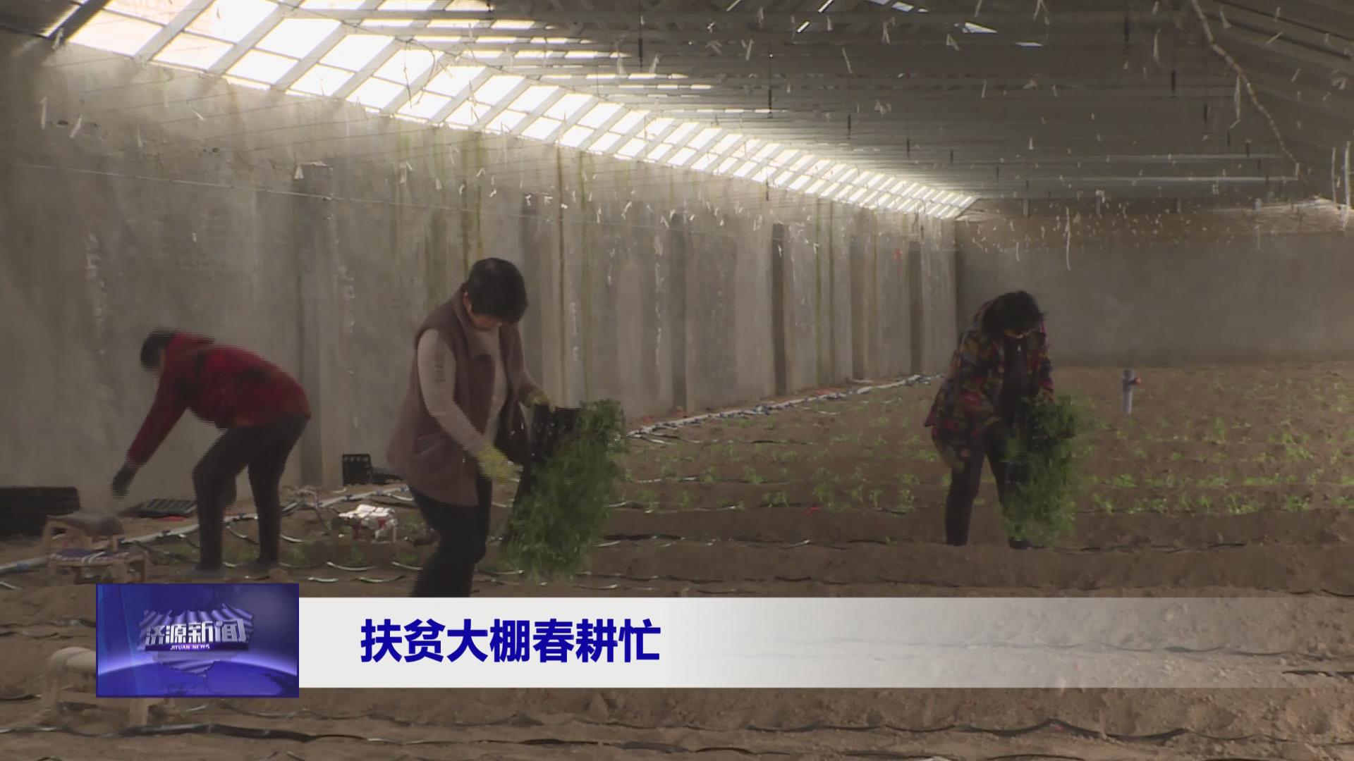 濟(jì)源網(wǎng)