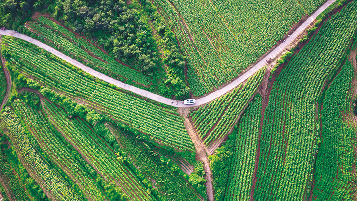 濟(jì)源網(wǎng)