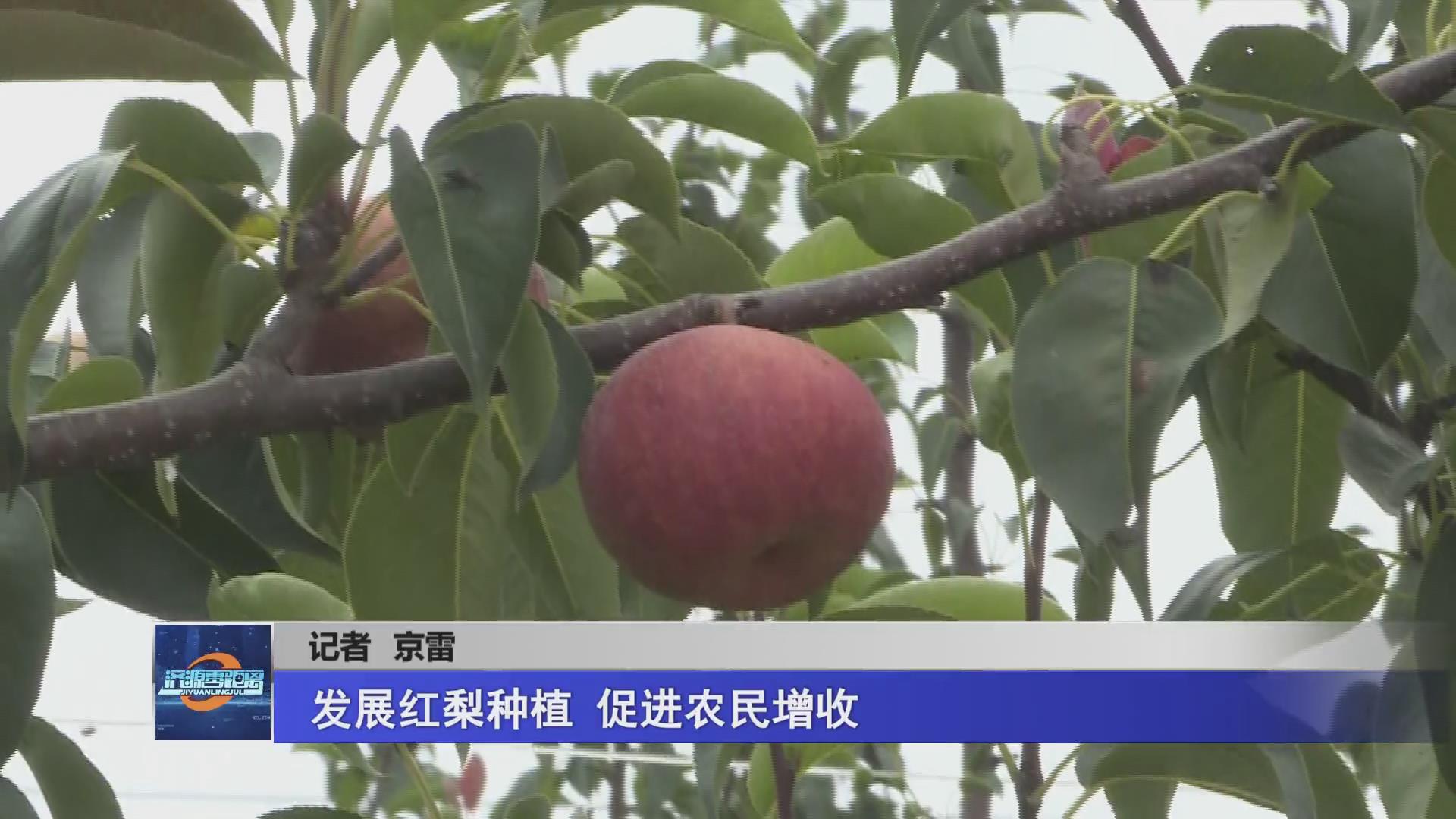 濟(jì)源網(wǎng)