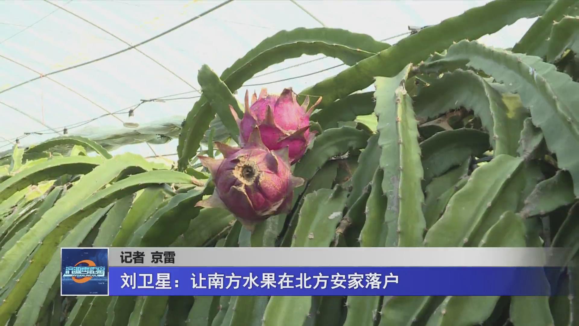 濟(jì)源網(wǎng)