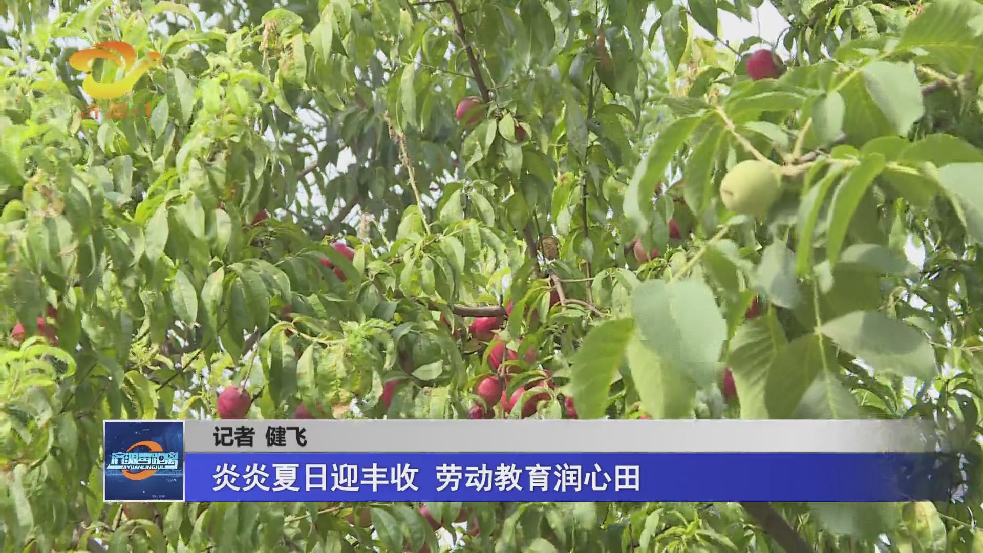 濟(jì)源網(wǎng)