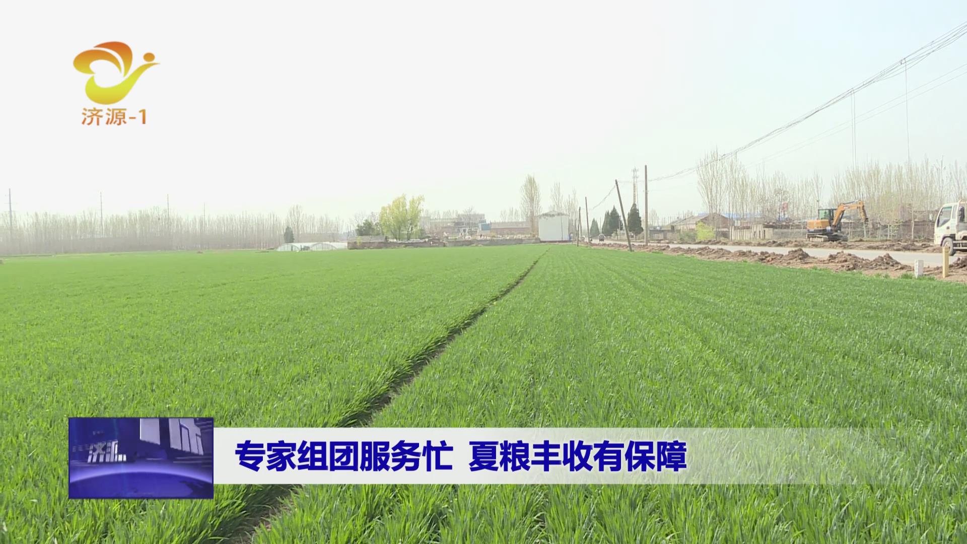 濟(jì)源網(wǎng)