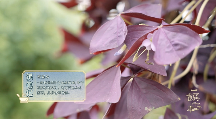 《一饌千年》走進(jìn)河南開封，看豫菜何以影響中國2000余年