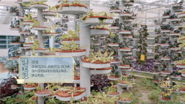 《一饌千年》走進(jìn)河南開封，看豫菜何以影響中國2000余年