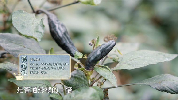 《一饌千年》走進(jìn)河南開封，看豫菜何以影響中國2000余年