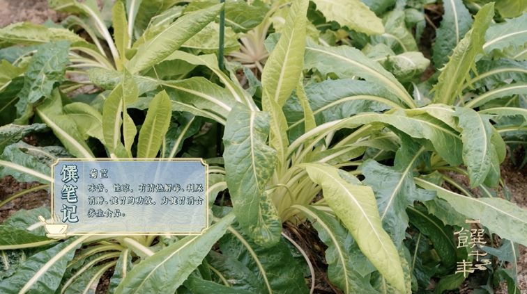 《一饌千年》走進(jìn)河南開封，看豫菜何以影響中國2000余年