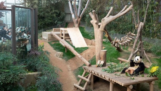   3月3日，人們在位于韓國京畿道龍仁市的愛寶樂園觀看大熊貓“福寶”。新華社記者姚琪琳攝