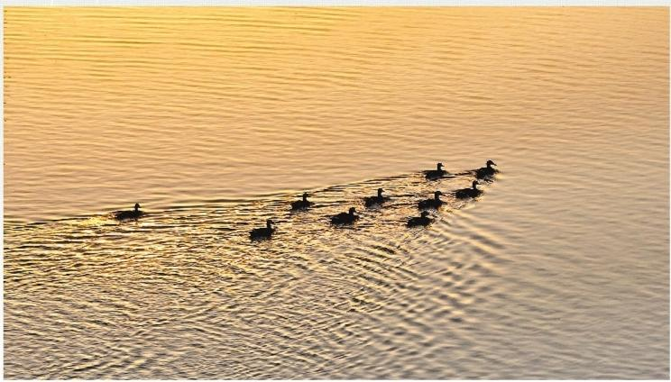 濟(jì)源網(wǎng)