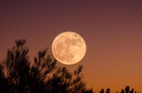 濟(jì)源網(wǎng)