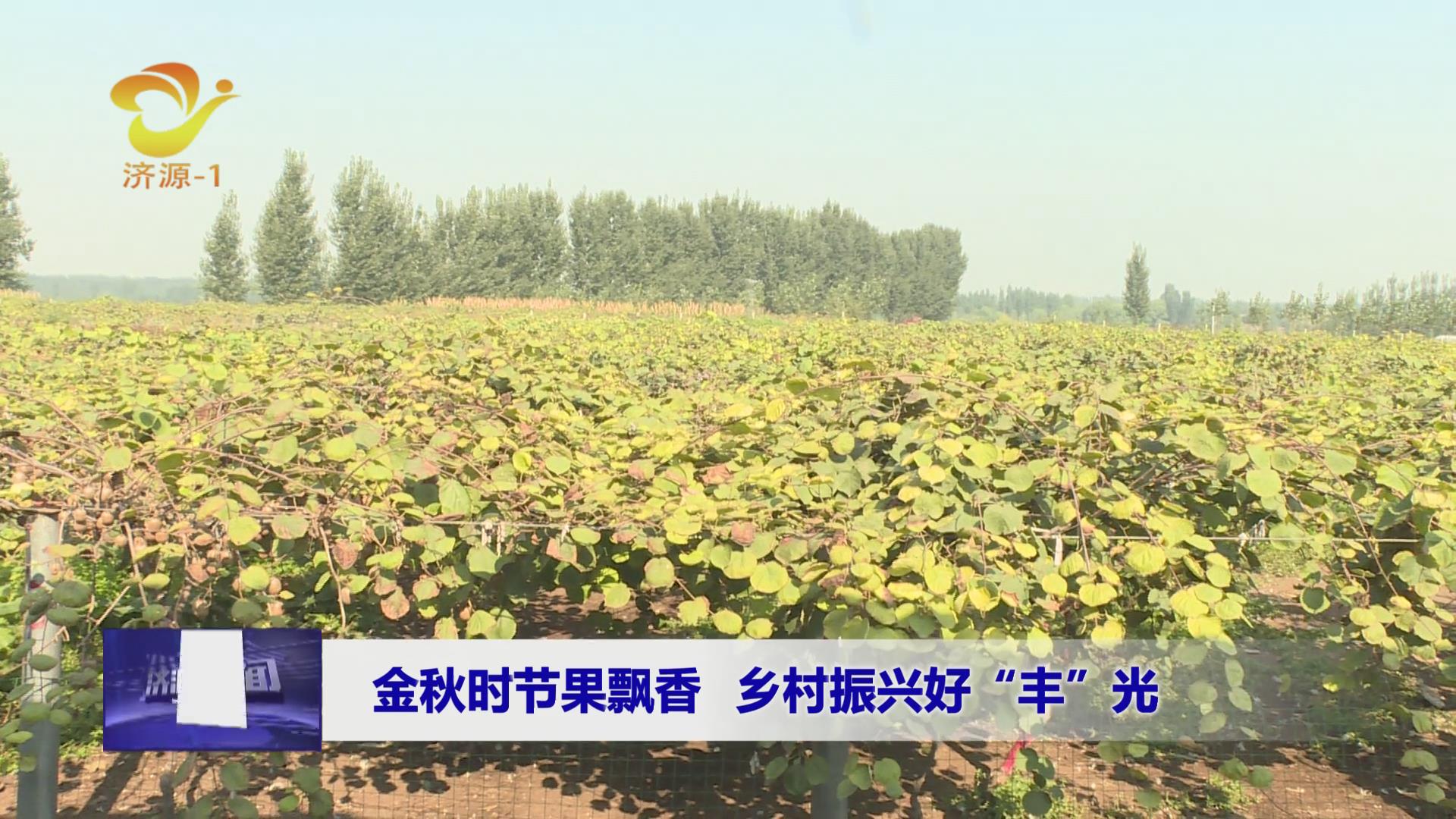 濟(jì)源網(wǎng)