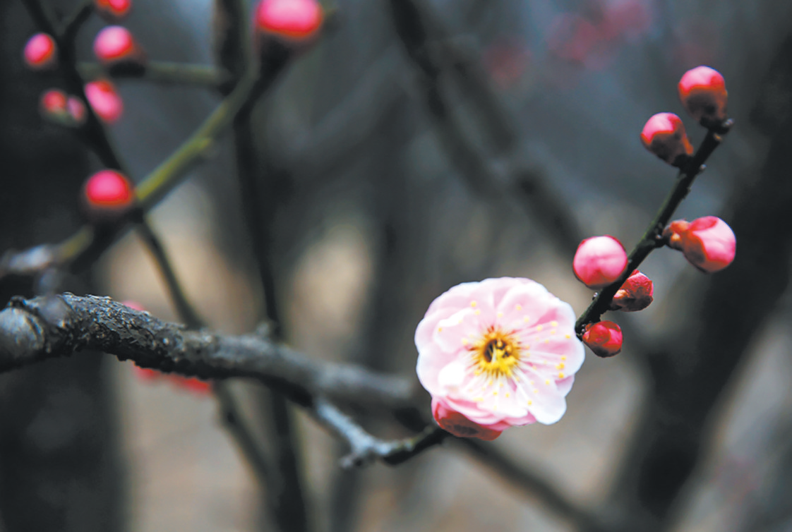 濟(jì)源網(wǎng)