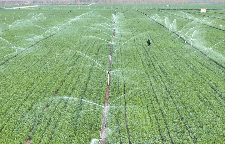 濟(jì)源網(wǎng)