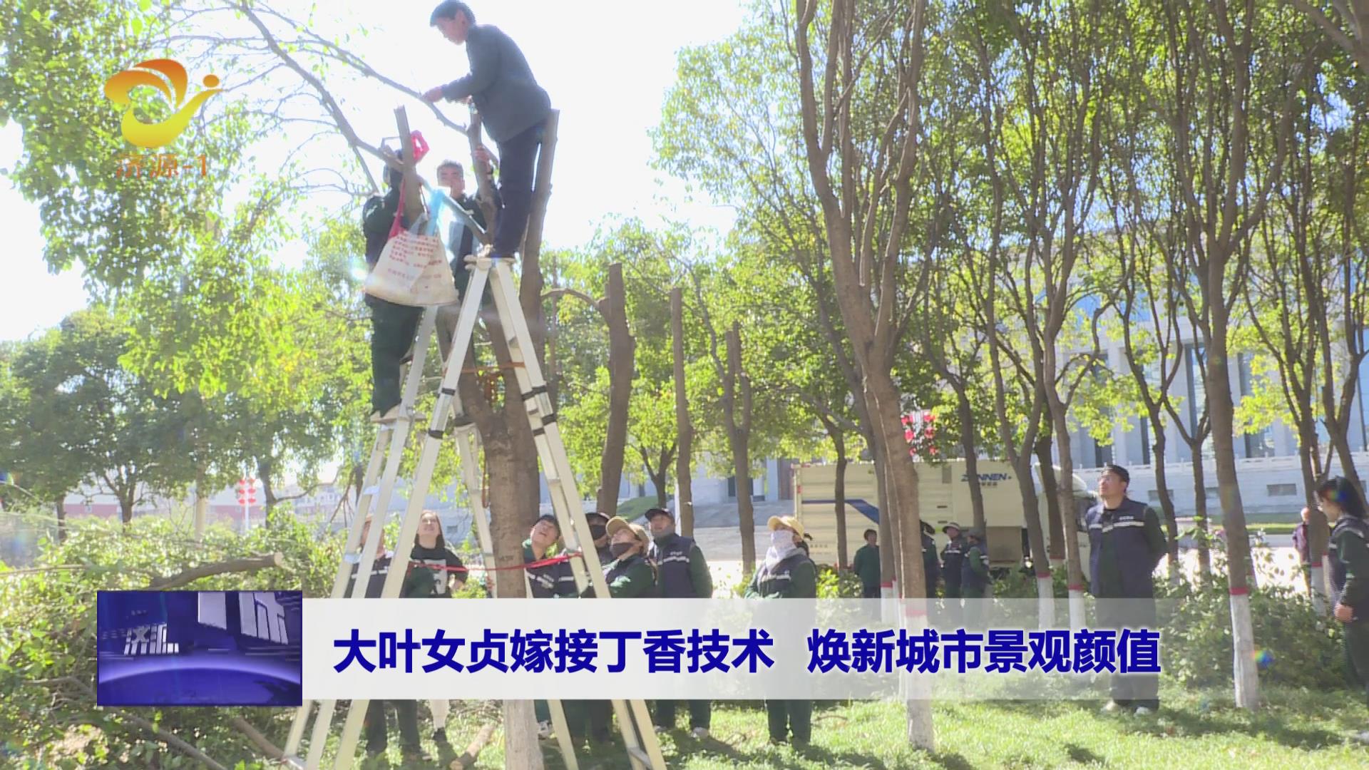 濟(jì)源網(wǎng)