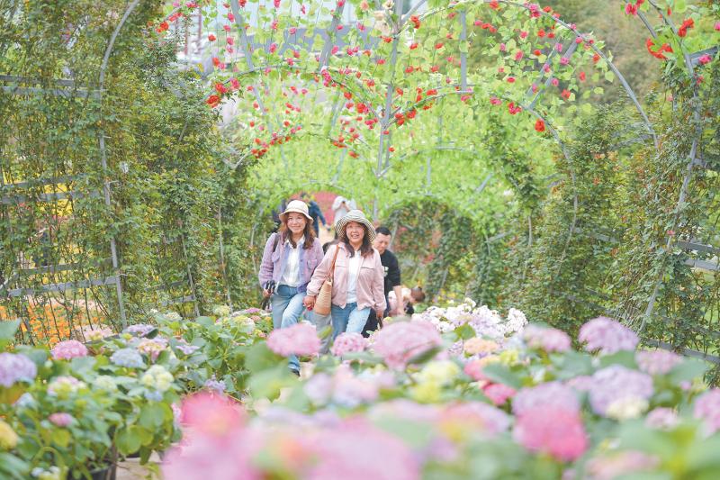 濟(jì)源網(wǎng)