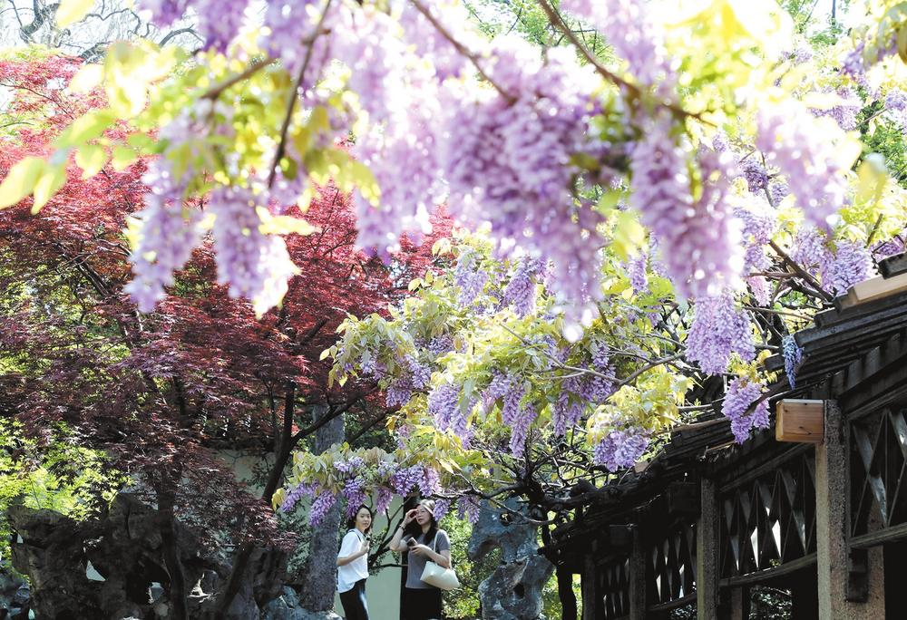 濟(jì)源網(wǎng)