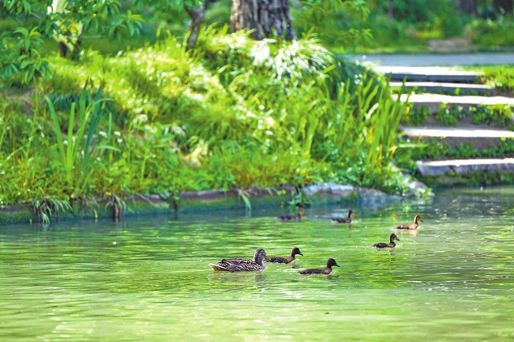 濟(jì)源網(wǎng)