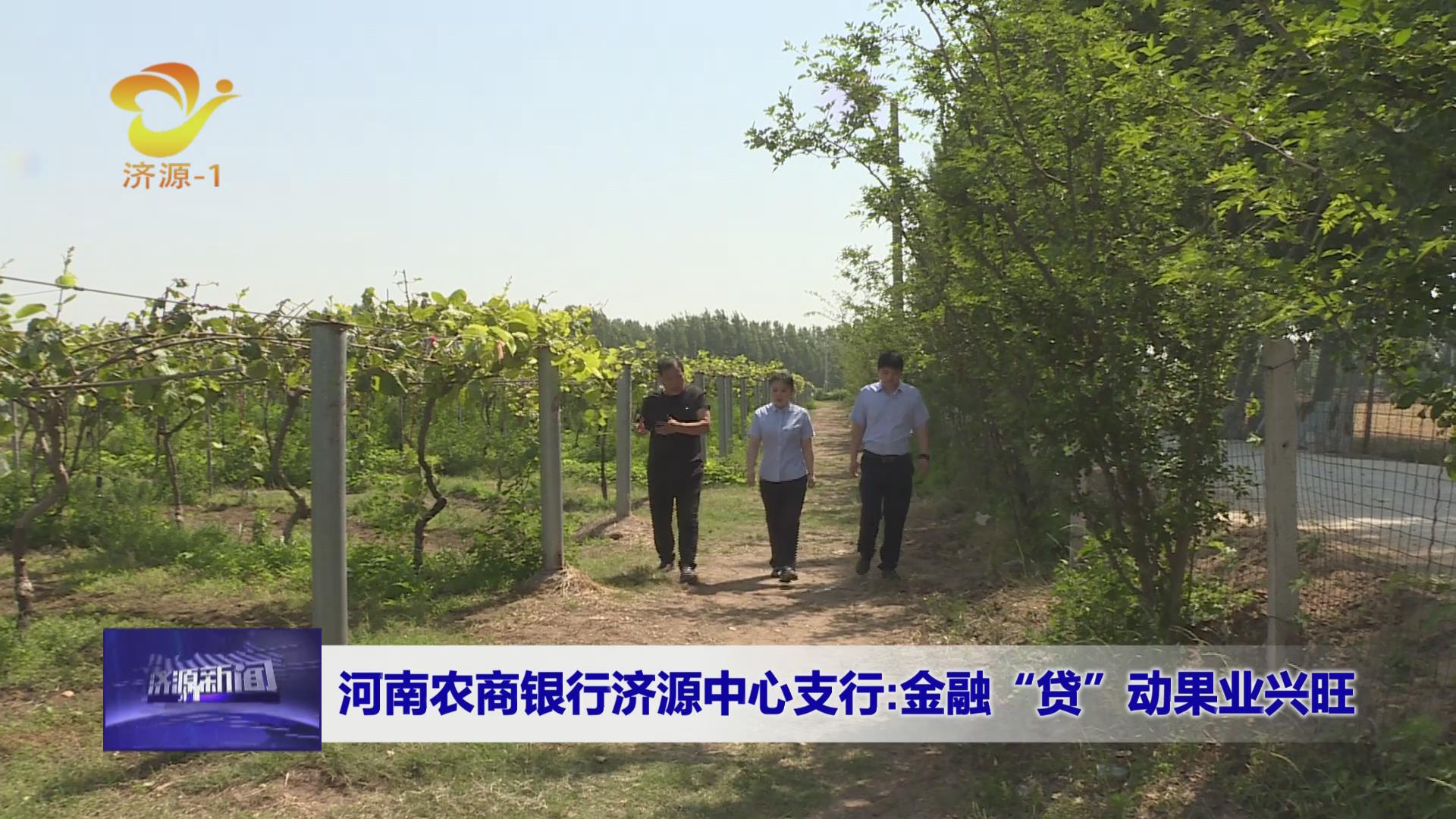 濟(jì)源網(wǎng)