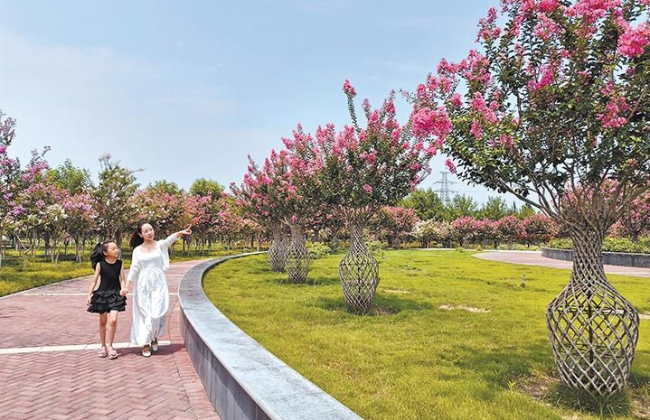 濟(jì)源網(wǎng)