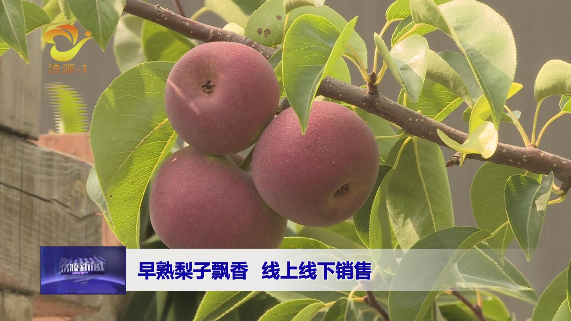 濟(jì)源網(wǎng)