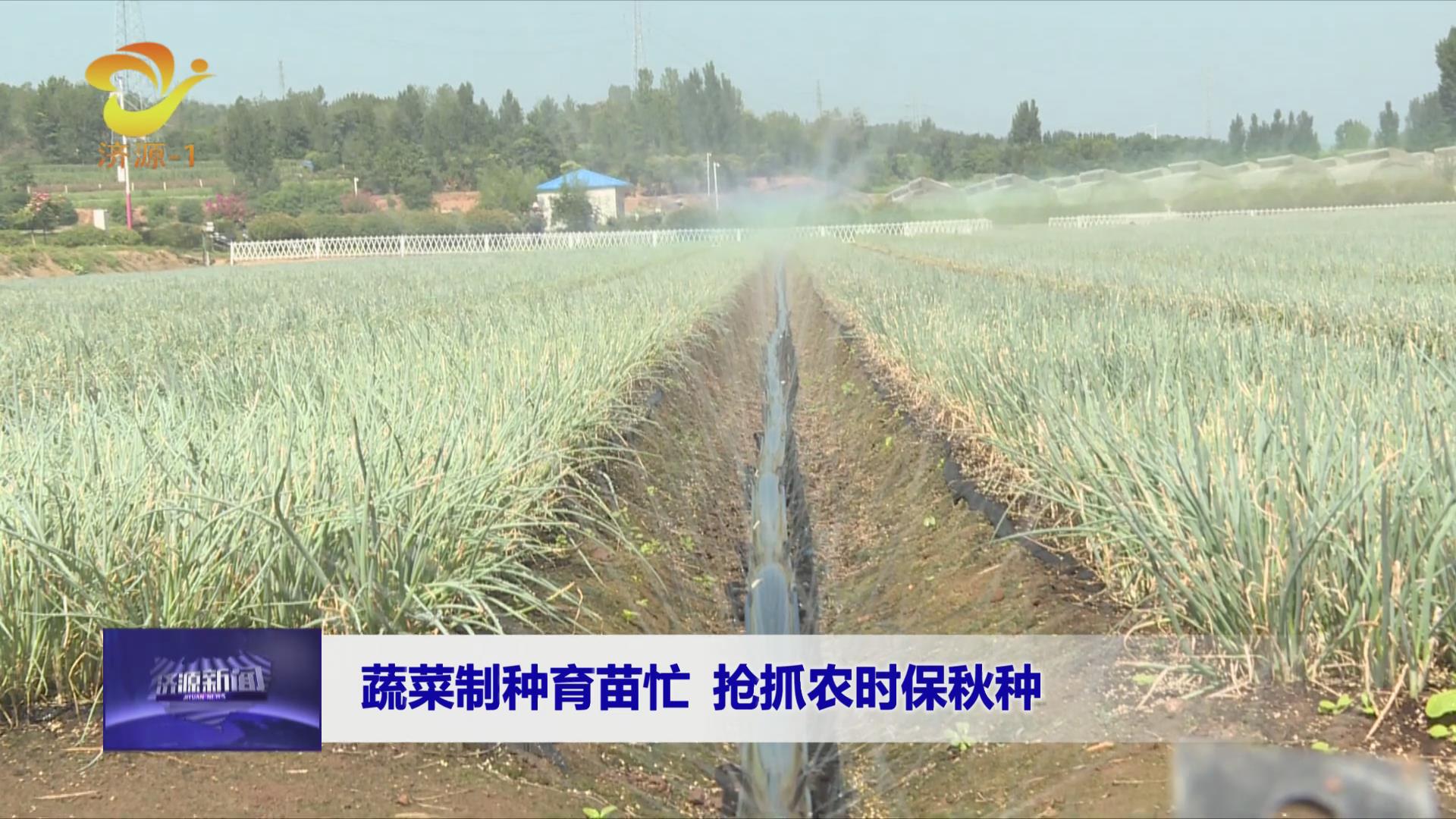 濟(jì)源網(wǎng)