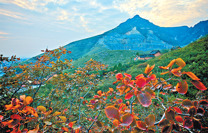 濟(jì)源網(wǎng)