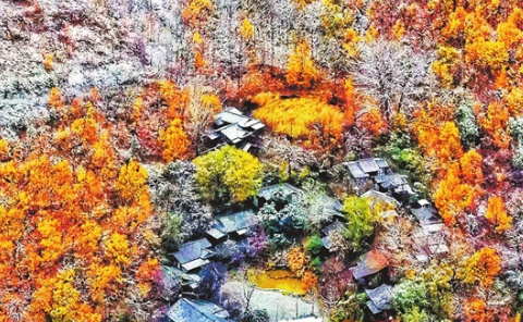 濟(jì)源網(wǎng)