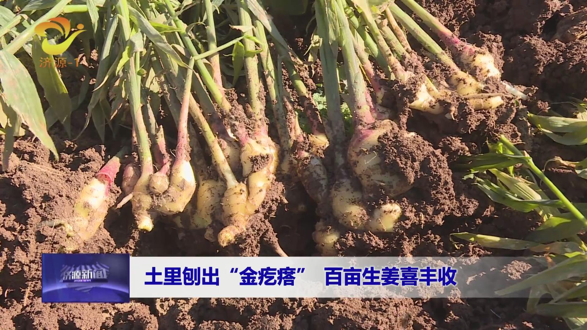 濟(jì)源網(wǎng)