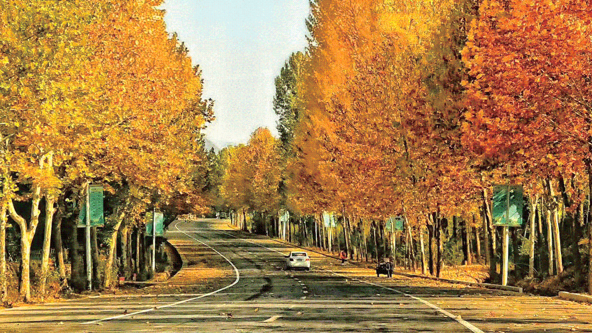 濟(jì)源網(wǎng)