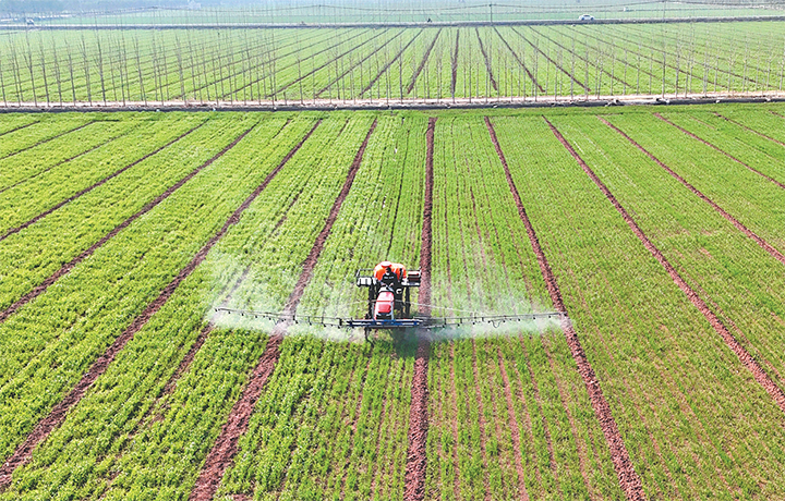 濟(jì)源網(wǎng)