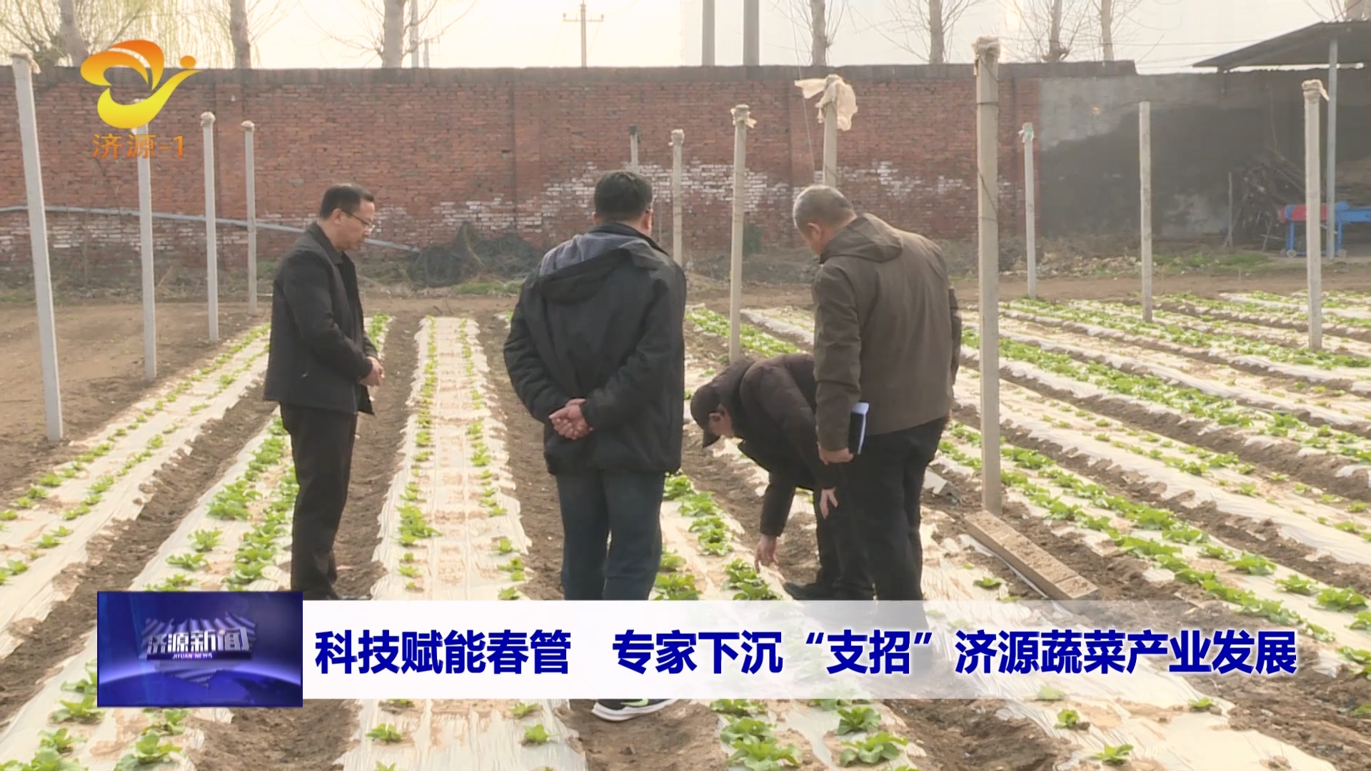 濟(jì)源網(wǎng)