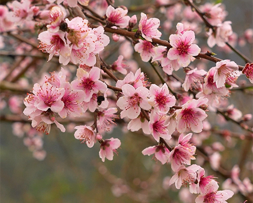 濟(jì)源網(wǎng)