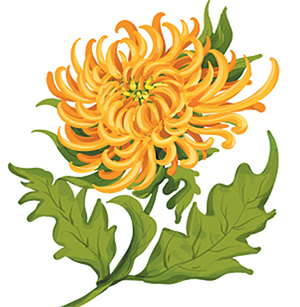 濟(jì)源網(wǎng)