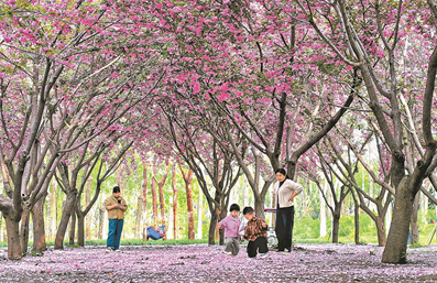 濟(jì)源網(wǎng)