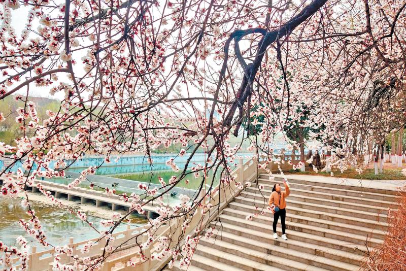 濟(jì)源網(wǎng)