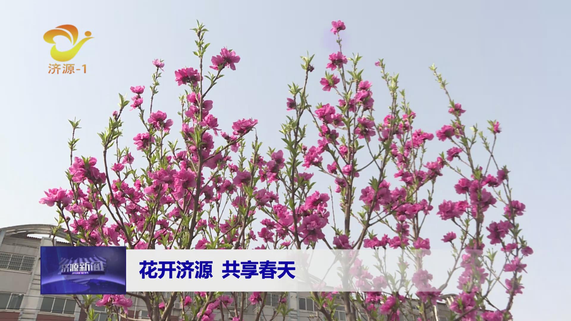 濟(jì)源網(wǎng)