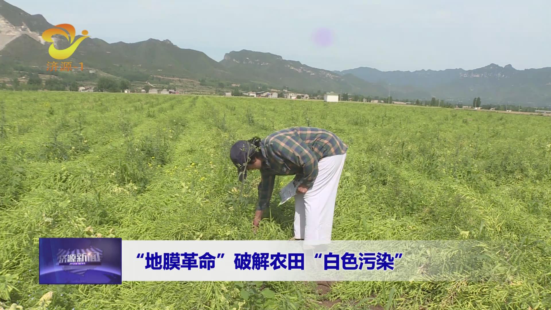 濟(jì)源網(wǎng)