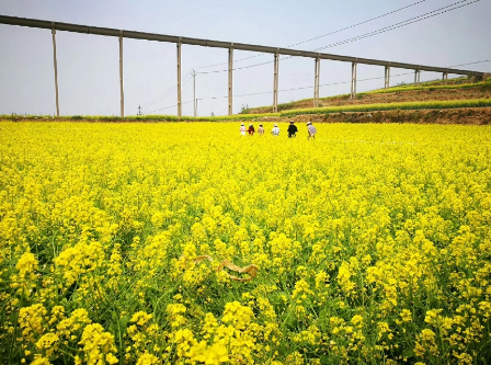 濟(jì)源網(wǎng)