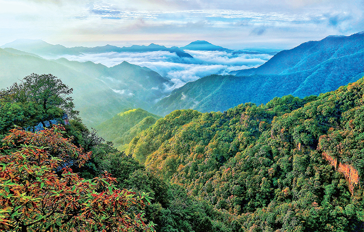 濟(jì)源網(wǎng)