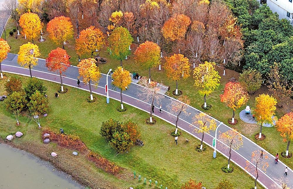 濟(jì)源網(wǎng)