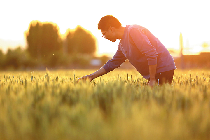 濟(jì)源網(wǎng)