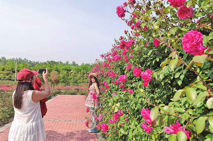 濟(jì)源網(wǎng)